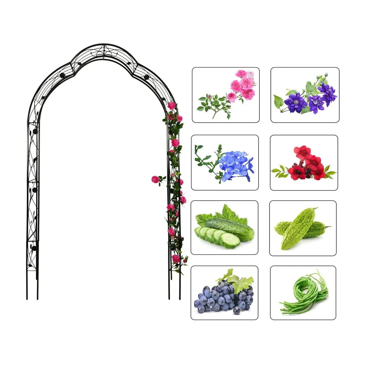 Garden supplies - HomeDIYer