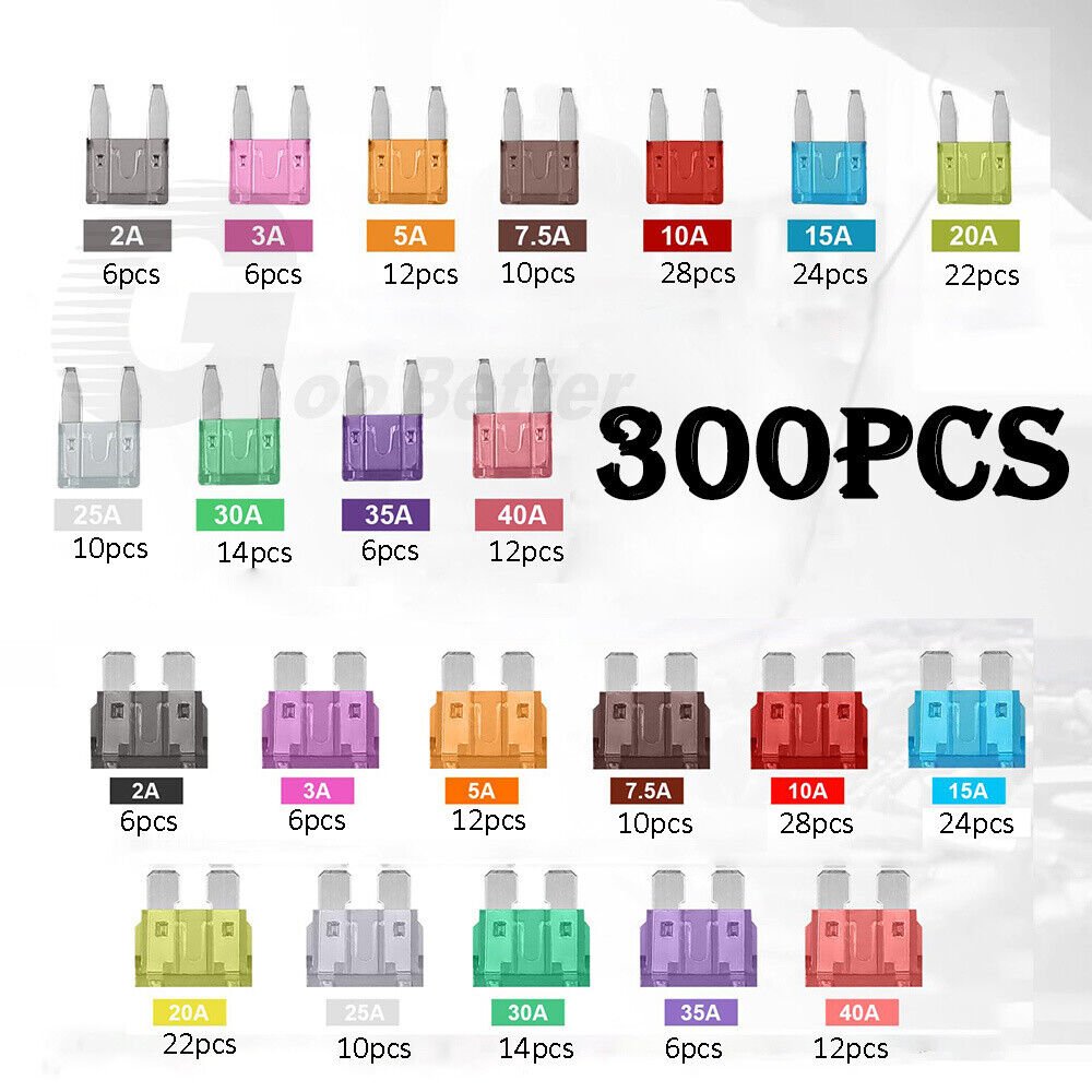 300Pcs Mini Blade Flat Fuses 2 - 40 Amp Assortment Kit for Car Van Bike Fuse Boxed - HomeDIYer