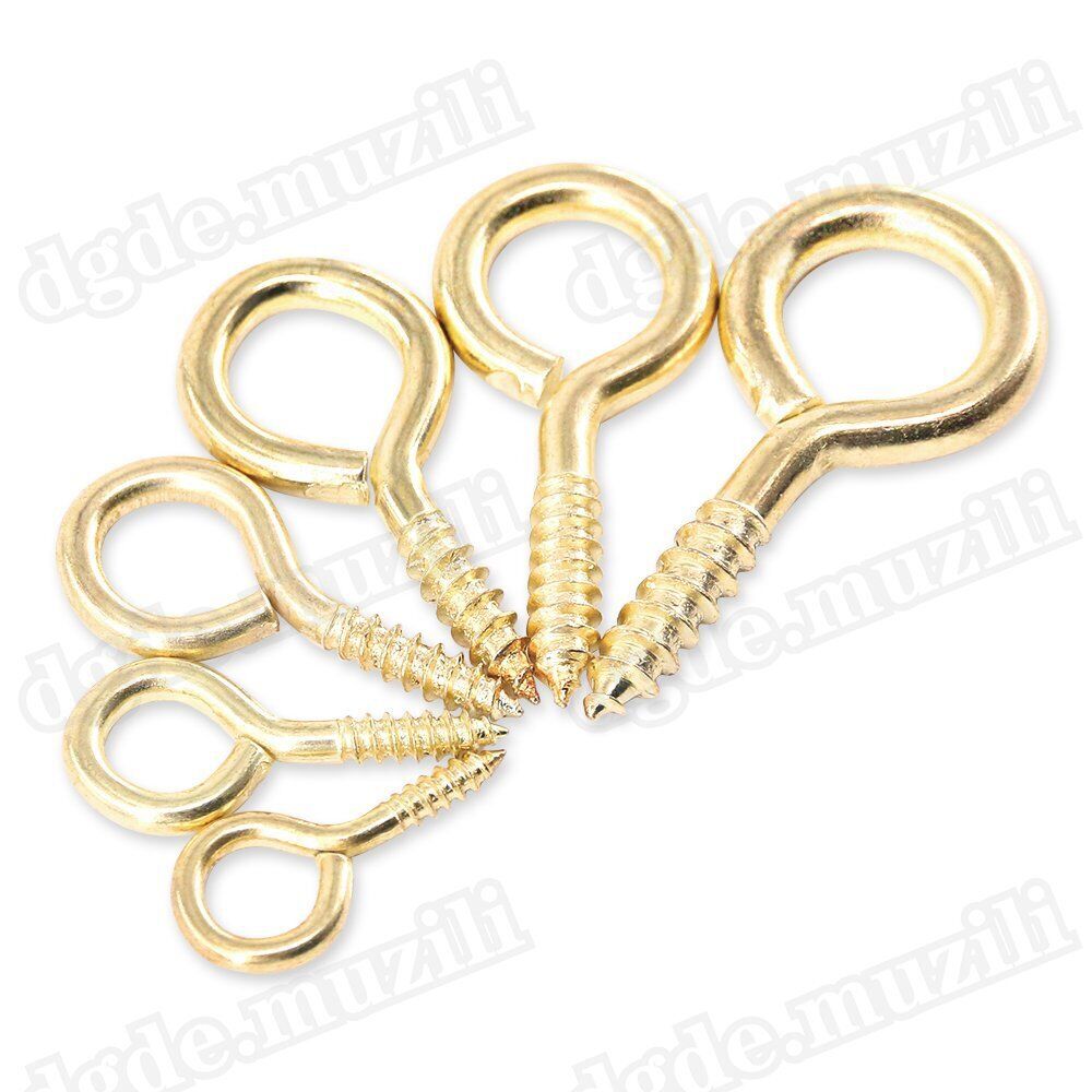 280pcs Eyebolts Screw Hooks Eye Hooks Wood Thread Copper Plating - HomeDIYer