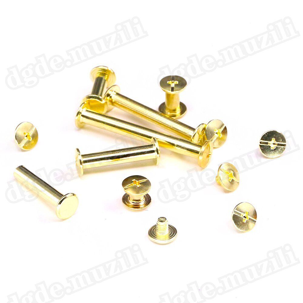 1250pcs book screws book rivets brass - plated Chicago screws screw rivets M5 - HomeDIYer