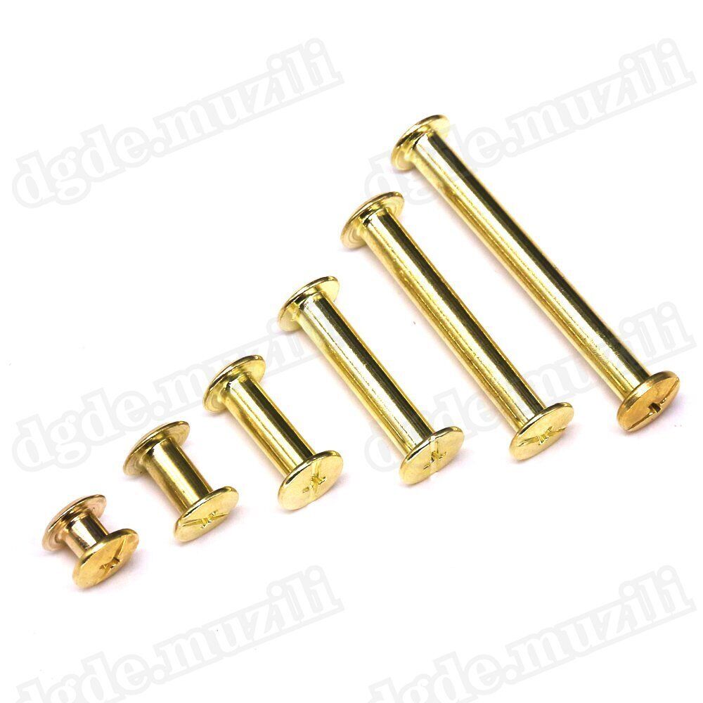 1250pcs book screws book rivets brass - plated Chicago screws screw rivets M5 - HomeDIYer