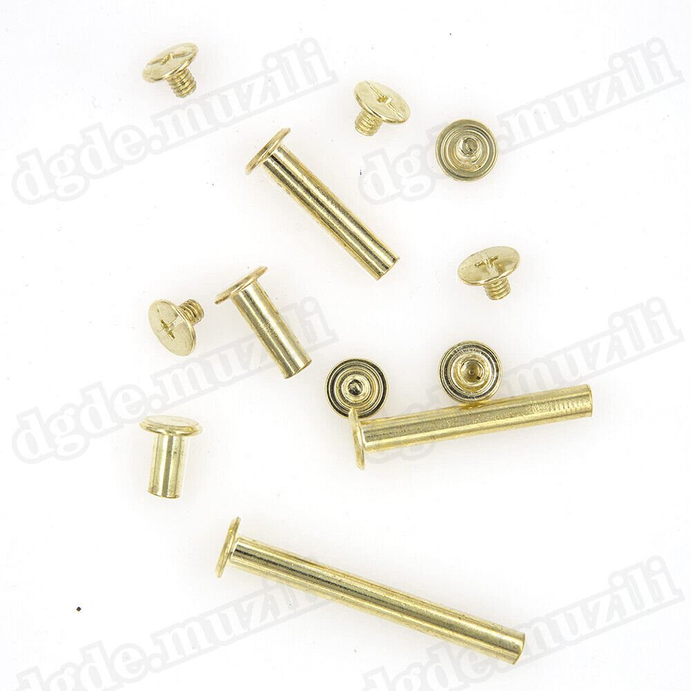 1250pcs book screws book rivets brass - plated Chicago screws screw rivets M5 - HomeDIYer