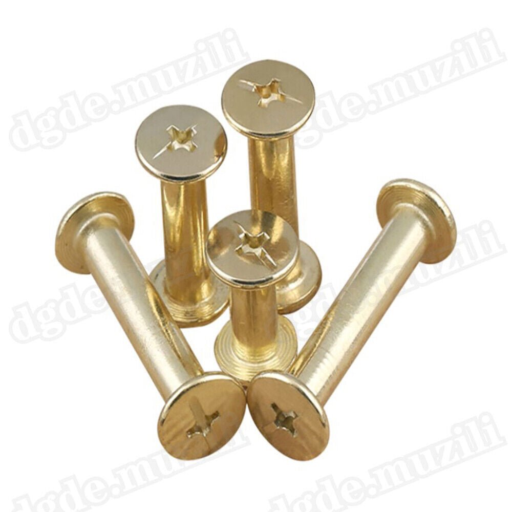 1250pcs book screws book rivets brass - plated Chicago screws screw rivets M5 - HomeDIYer