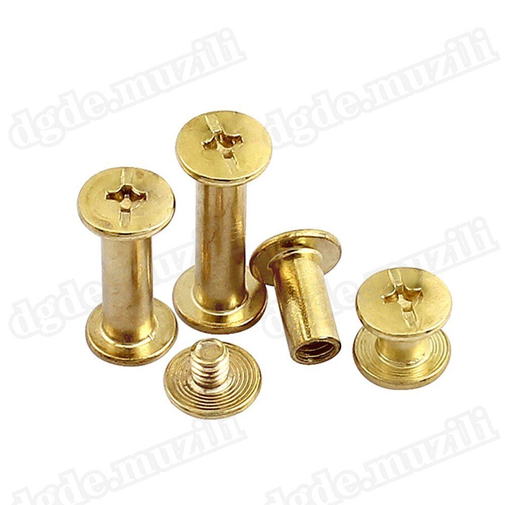 1250pcs book screws book rivets brass - plated Chicago screws screw rivets M5 - HomeDIYer