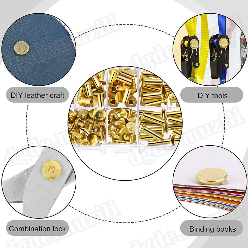 1250pcs book screws book rivets brass - plated Chicago screws screw rivets M5 - HomeDIYer