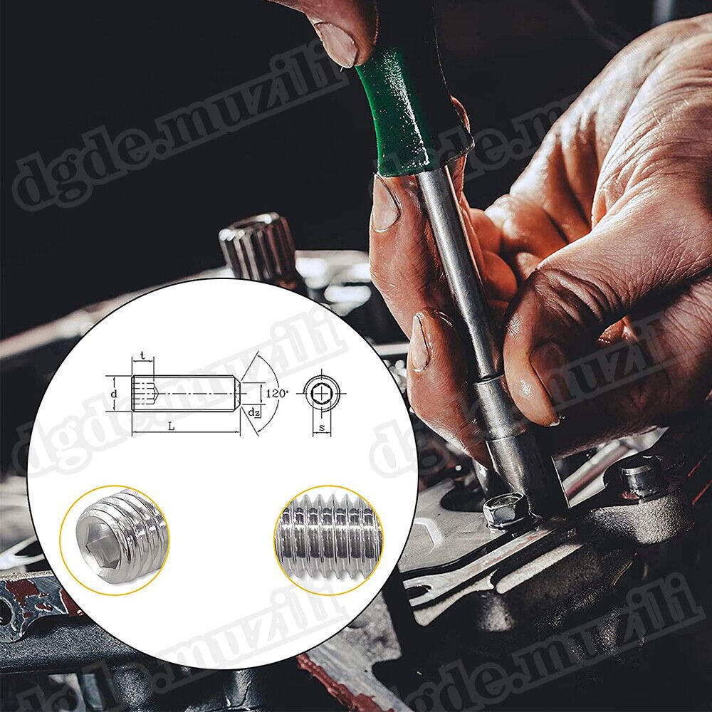 220 Pcs Set Screws Assortment M3 - M8 Stainless Steel A2 Hexagon Socket Grub Screws - HomeDIYer