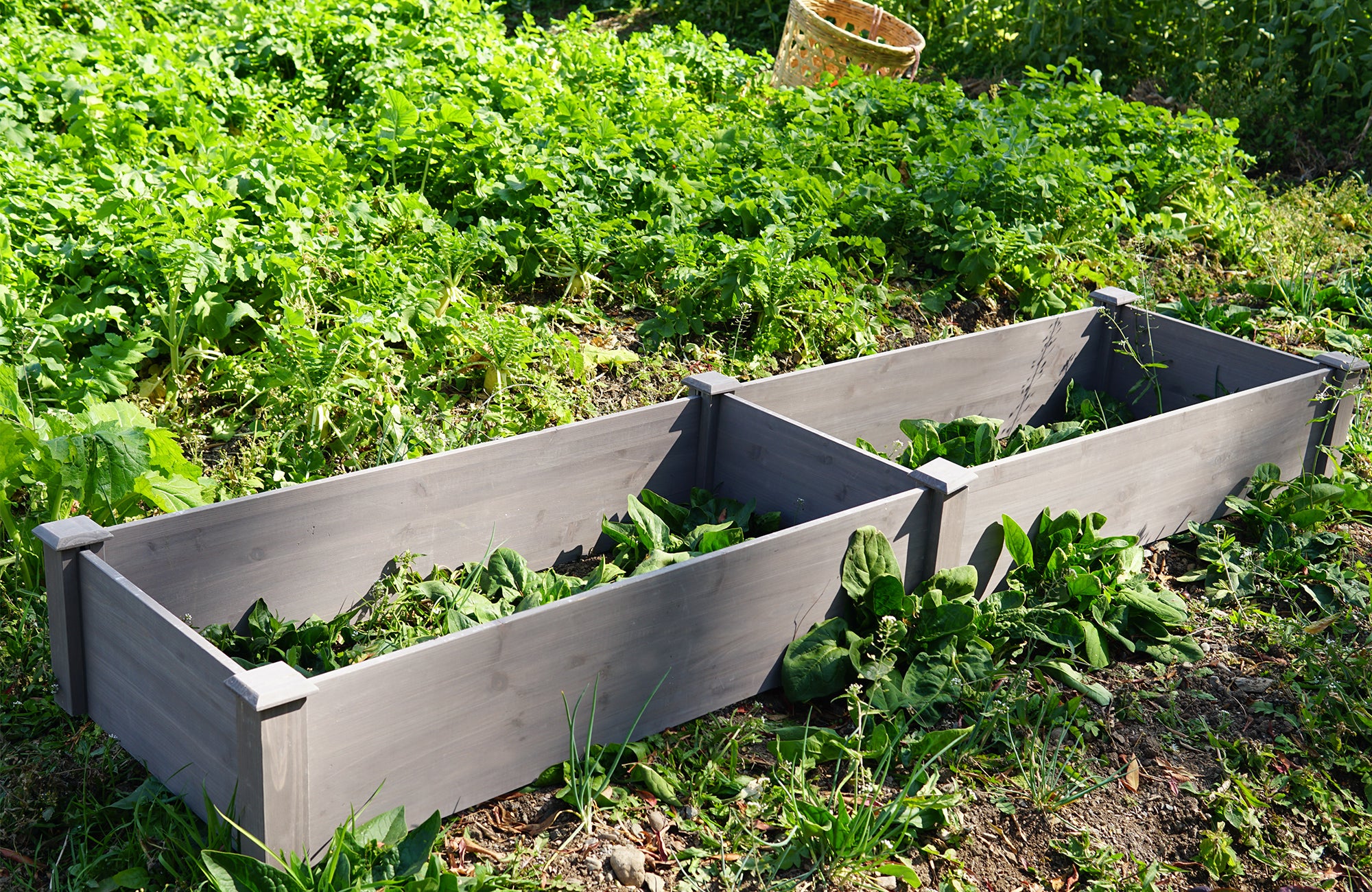 Over Ground Raised Garden Bed 96x28x10″ – Tool-Free Large Long Planter Box for Outdoor