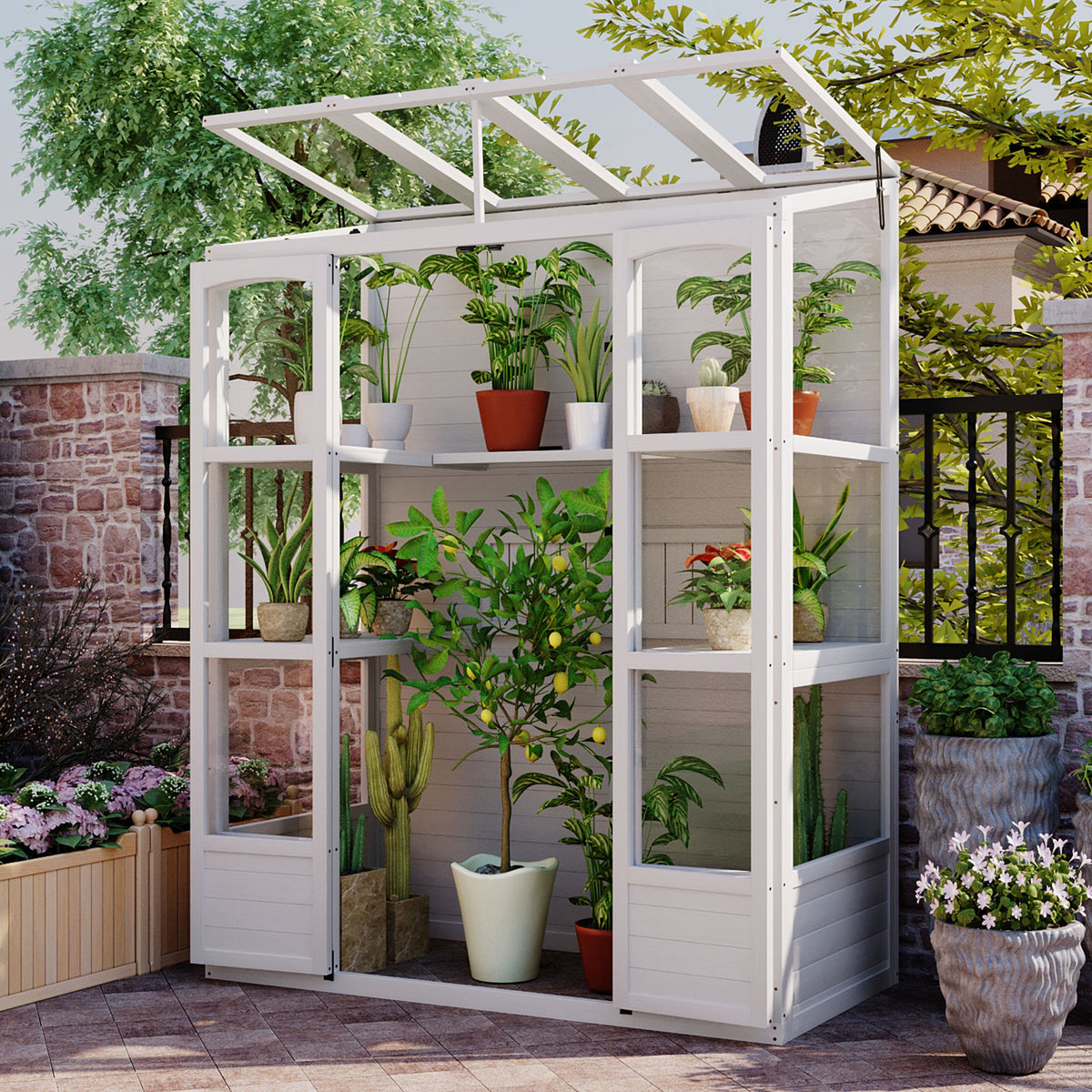 78‑Inch Wooden Walk‑In Greenhouse Cold Frame — 4 Skylights, 2 Folding Shelves & Polycarbonate Panels White