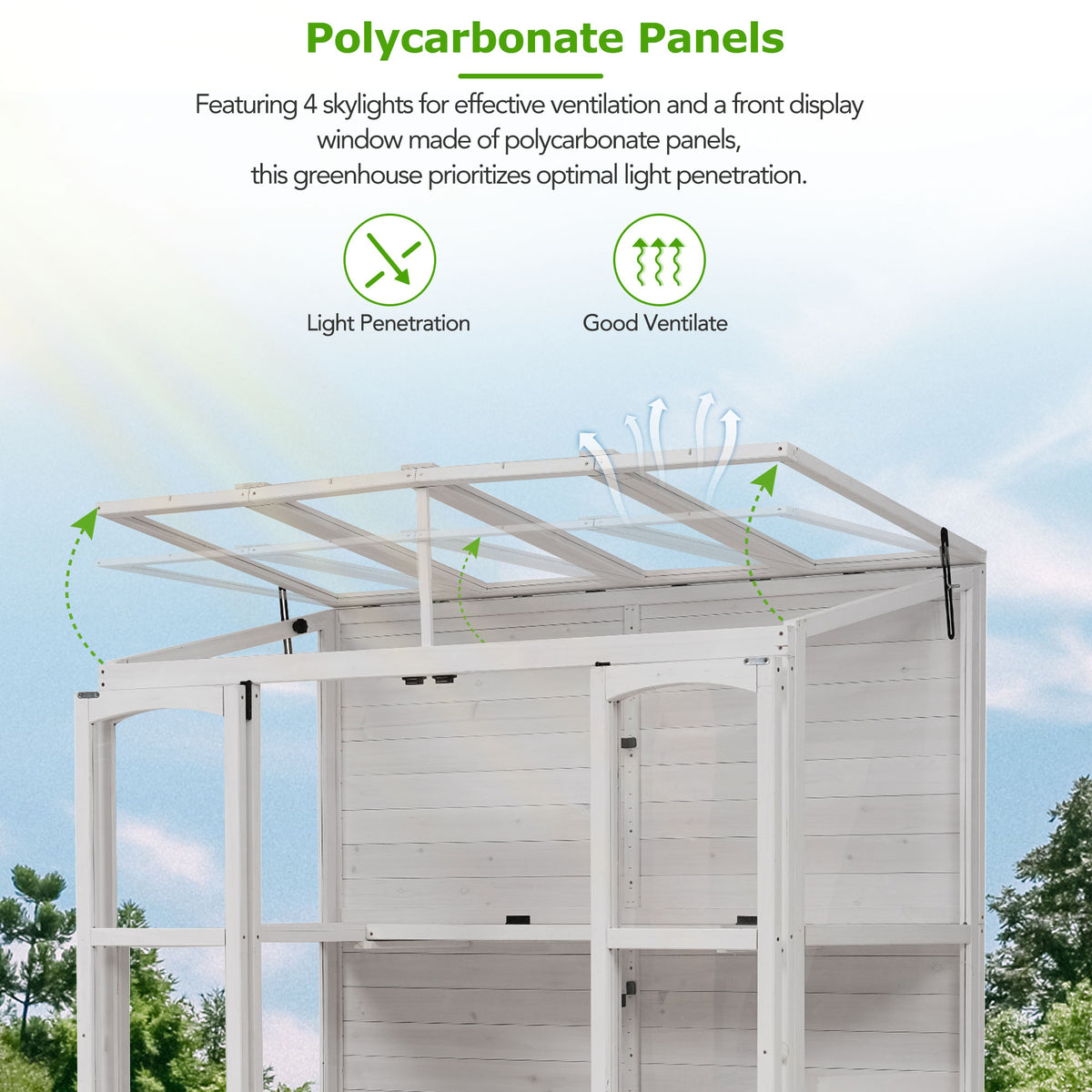 78‑Inch Wooden Walk‑In Greenhouse Cold Frame — 4 Skylights, 2 Folding Shelves & Polycarbonate Panels White
