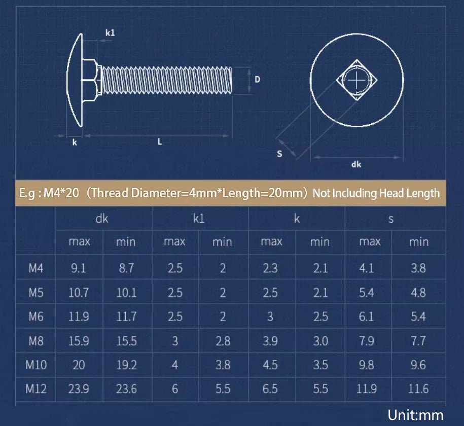 M8 M10 M12 Carriage Bolts, 304 Stainless Steel Round Head Square Neck Screws - HomeDIYer