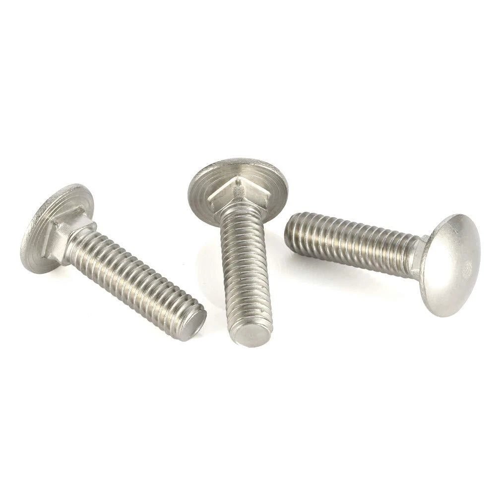 M8 M10 M12 Carriage Bolts, 304 Stainless Steel Round Head Square Neck Screws - HomeDIYer