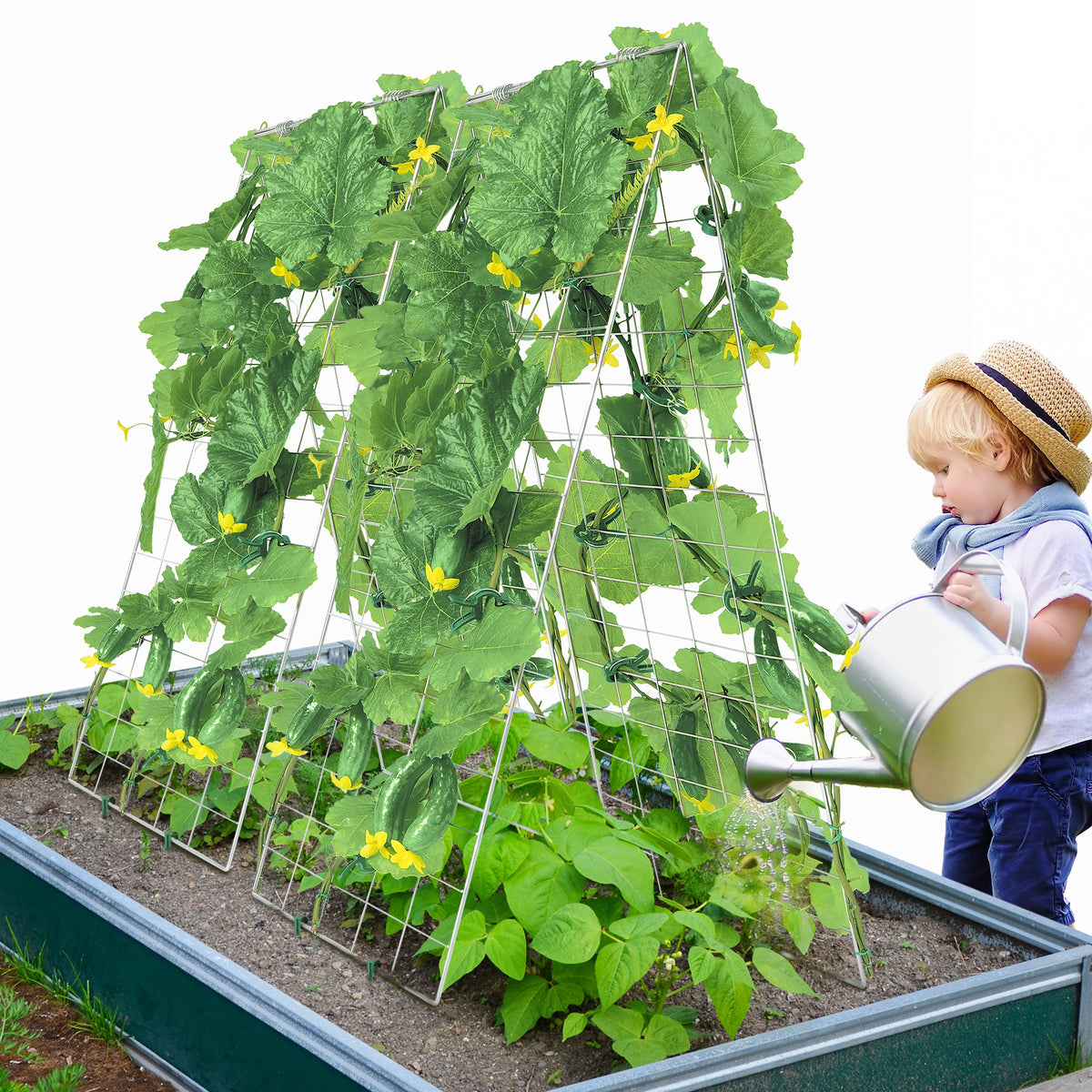 35" x 55" Foldable A-Frame Metal Cucumber Trellis – Heavy-Duty Garden Support for Climbing Vegetables & Vines