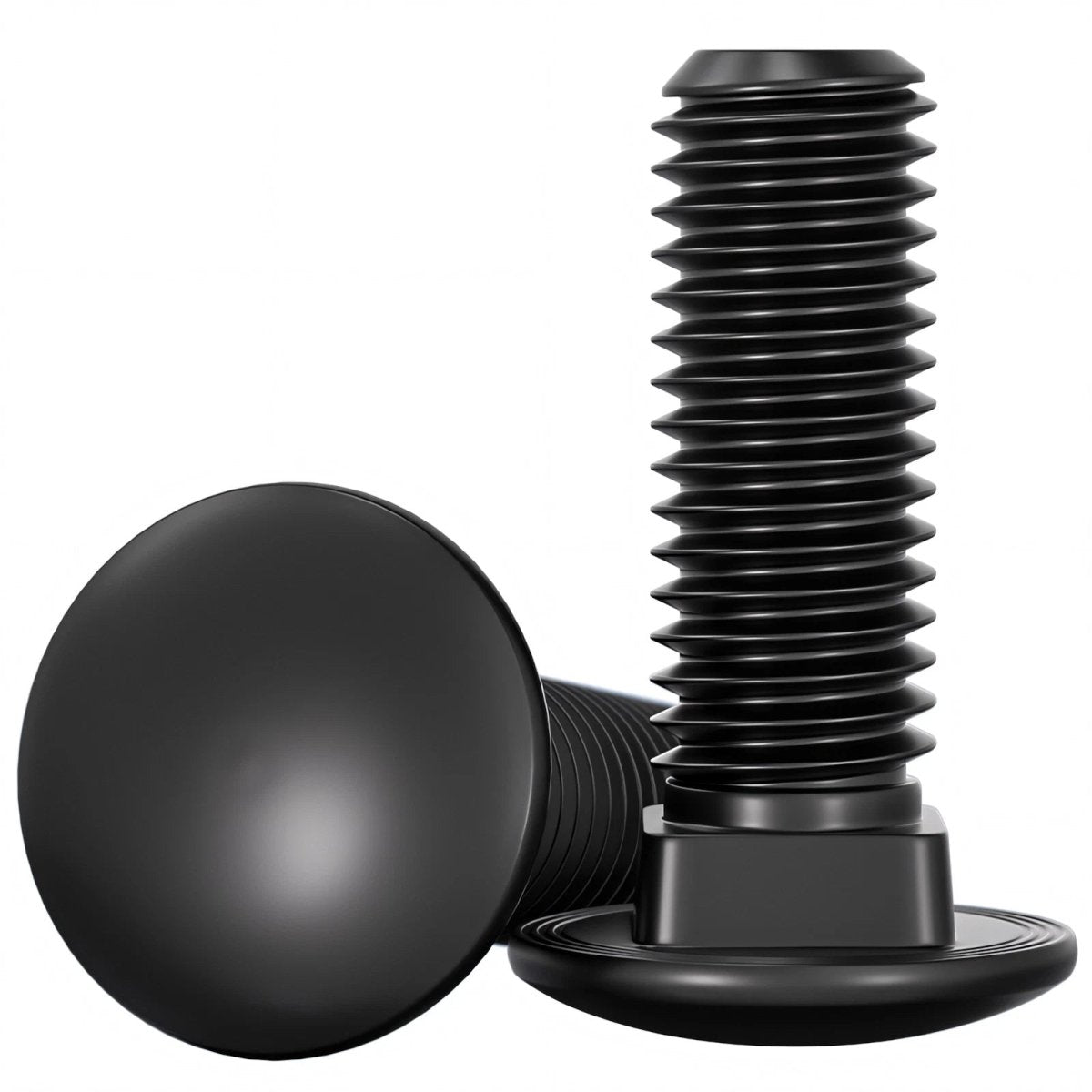 M8 M10 M12 Carriage Bolts – Cup Square Domed Head, Black A2 - 70 Stainless Steel - HomeDIYer