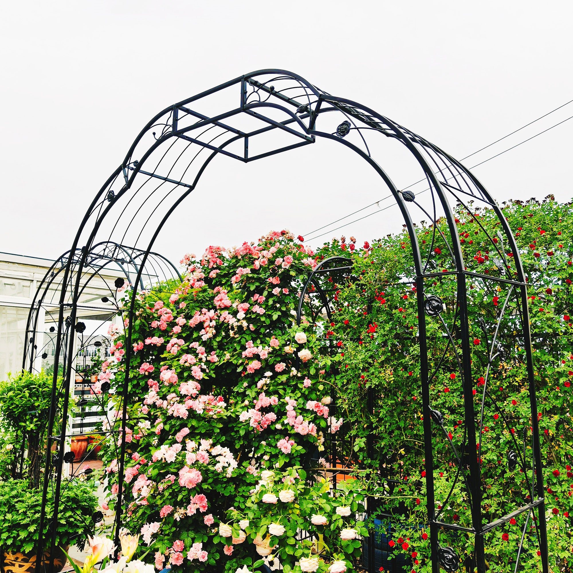 Metal Garden Arch W74.4'' x H98.4'' Garden Arbor Trellis Climbing Plants Support Rose Arch Outdoor Arch Black