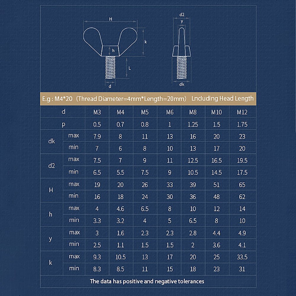 304 Stainless Steel Wing Bolt M3 M4 M5 M6 M8 M10 M12 - HomeDIYer