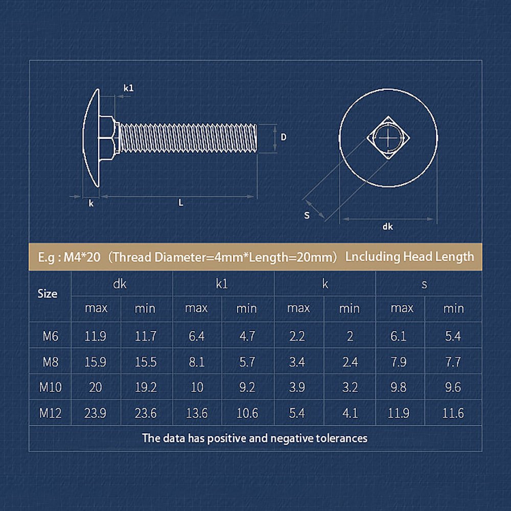 304 Stainless Steel Carriage Bolt M3 M4 M5 M6 M8 M10 M12 - HomeDIYer