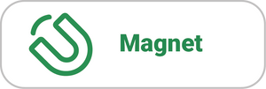 Magnet