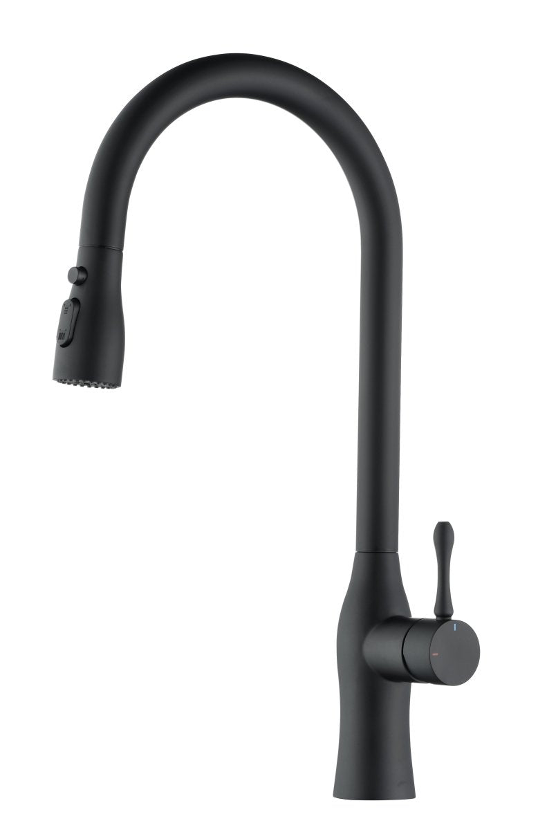 Pull - Down Single Handle Kitchen Faucet in Matte Black - HomeDIYer