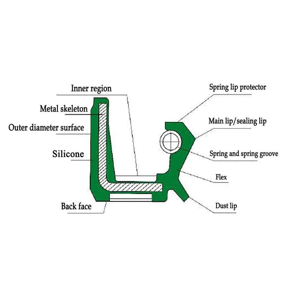 TC Oil Seal – Double Lipped Rotary Shaft Seal | Silicone Dust Seal