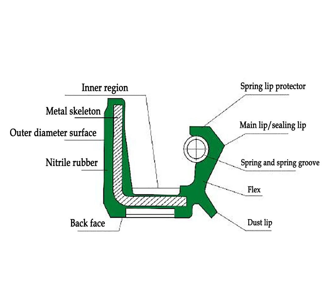 TC Double Lip NBR Oil Seal with Stainless Steel Spring — Rotary Shaft Seal Ring