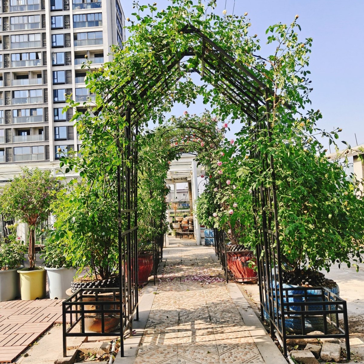 Metal Garden Arch with Adjustable Width W68.11''~W94.29'' Climbing Plants Support Rose Arch Outdoor Black - HomeDIYer