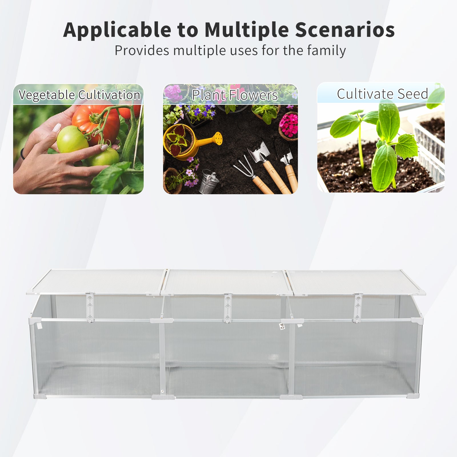 Polycarbonate Greenhouse for Outdoors in Winter