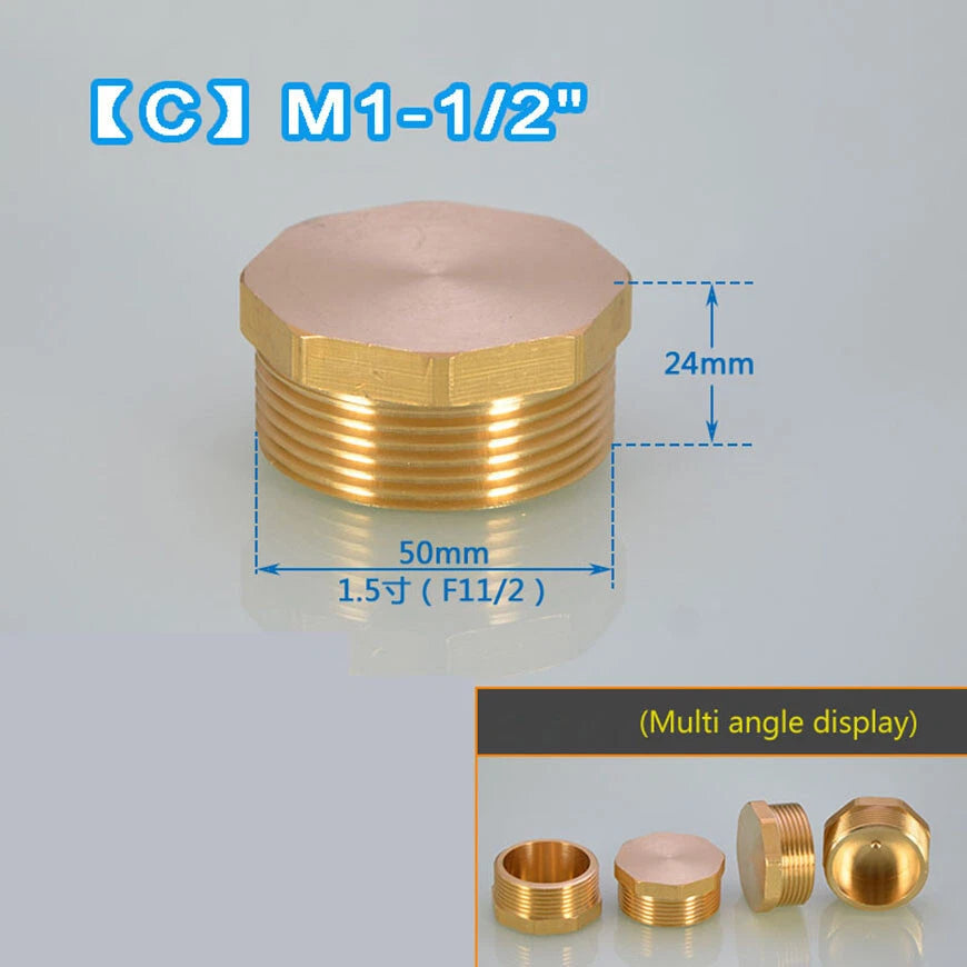 Brass Octagonal Blanking Plug — Male & Female Pipe End Cap | 1-1/4" 1-1/2" 2"