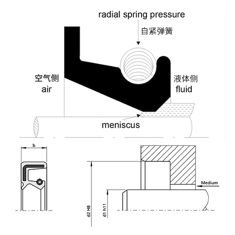Rotary Shaft Oil Seal TC/FB NBR Nitrile | 8mm-65mm ID | 1-3 Pcs