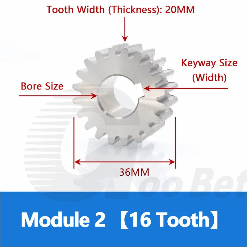 Spur Gear Stainless Steel Module 1 1.5 2 Motor Pinion 12 to 100 Tooth Flat Gear