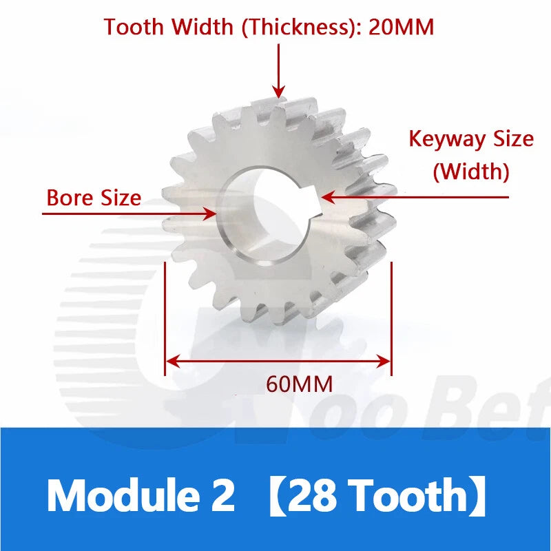 Spur Gear Stainless Steel Module 1 1.5 2 Motor Pinion 12 to 100 Tooth Flat Gear