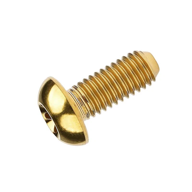 Titanium Bolt M5x10mm 12mm Round Head Screws TORX Ti Machine Bolts Metric