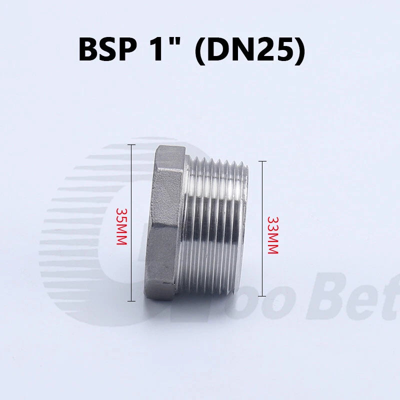 304 Stainless Steel BSP Male Thread Hex Plug — End Stopper Pipe Fitting (1/4" to 2")