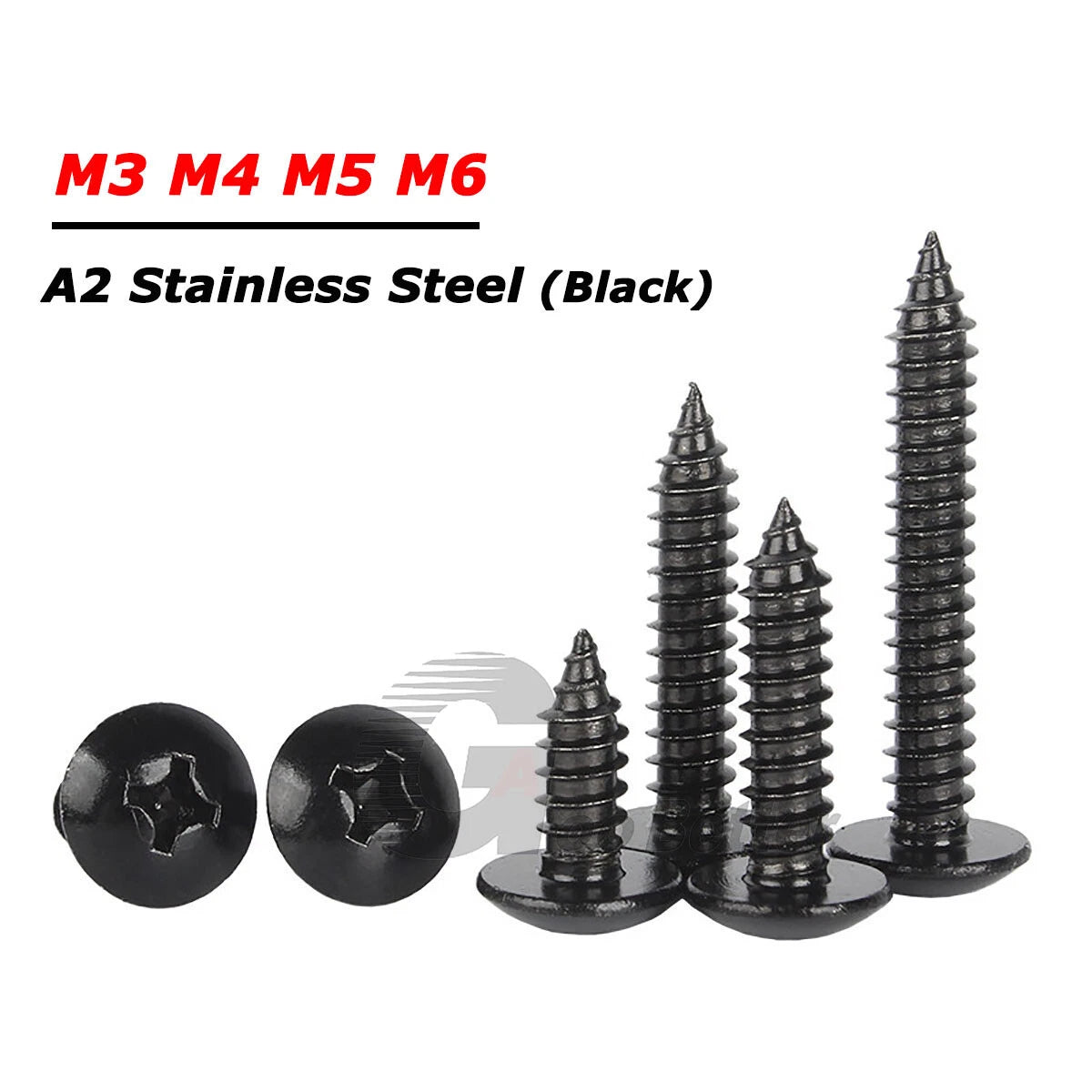 Phillips Truss Head Self Tapping Screws – Black 304 Stainless Steel, M3 M4 M5 M6