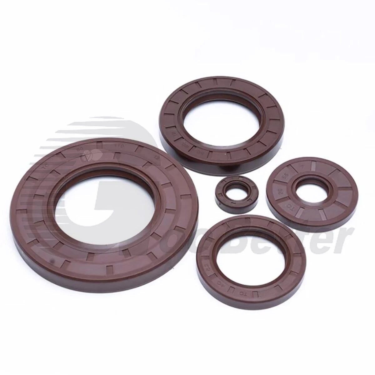 TC Oil Seal Ring FKM Double Lip Rotary Shaft Seal — ID 11mm to 19mm (2 PCS)