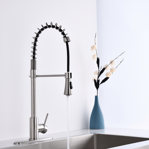 Brushed Nickel Single Handle Commercial Modern Spring High Arc Kitchen Faucet Water Filter System Bends as You Want - HomeDIYer