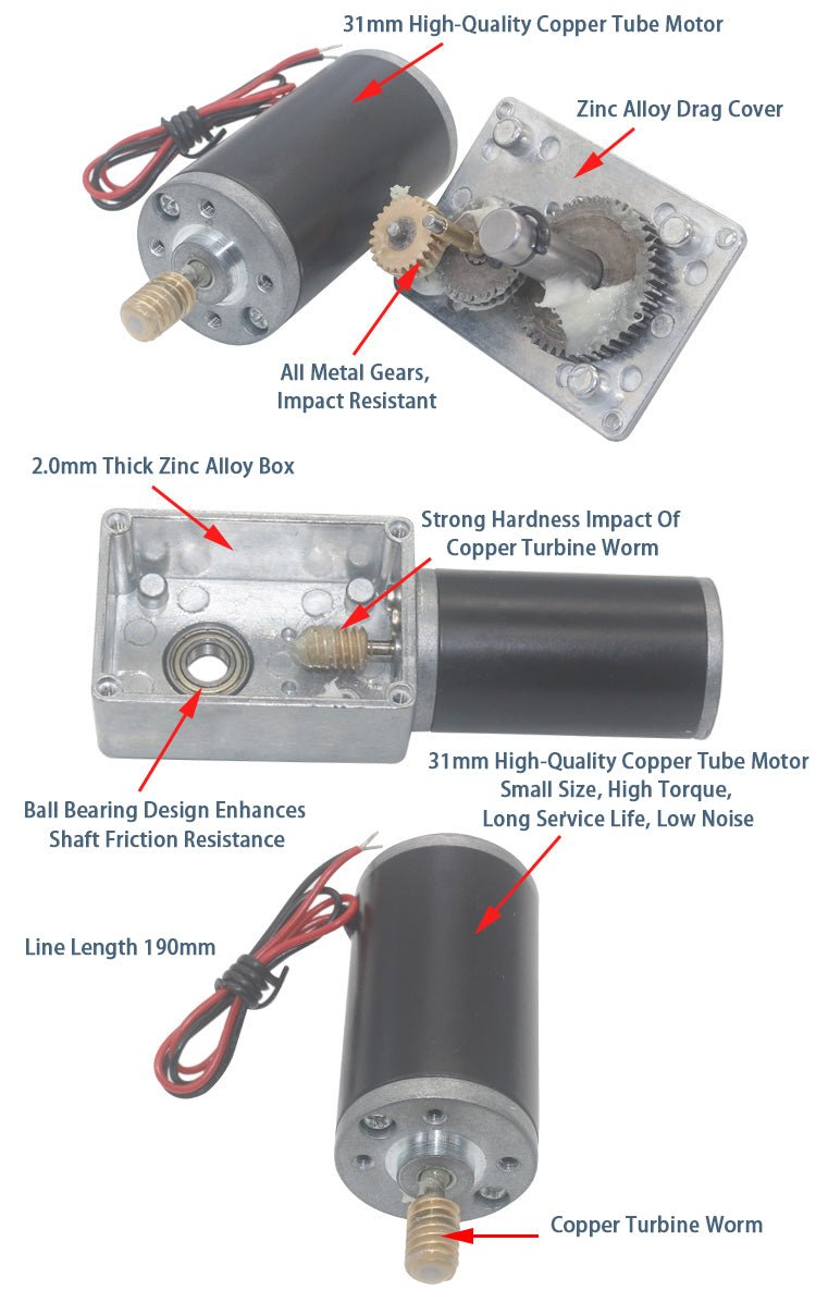 DC12V 24V 5 - 470RPM 5840 - 31ZY Worm Gear Reducing Motor Double Shaft with Gearbox - HomeDIYer