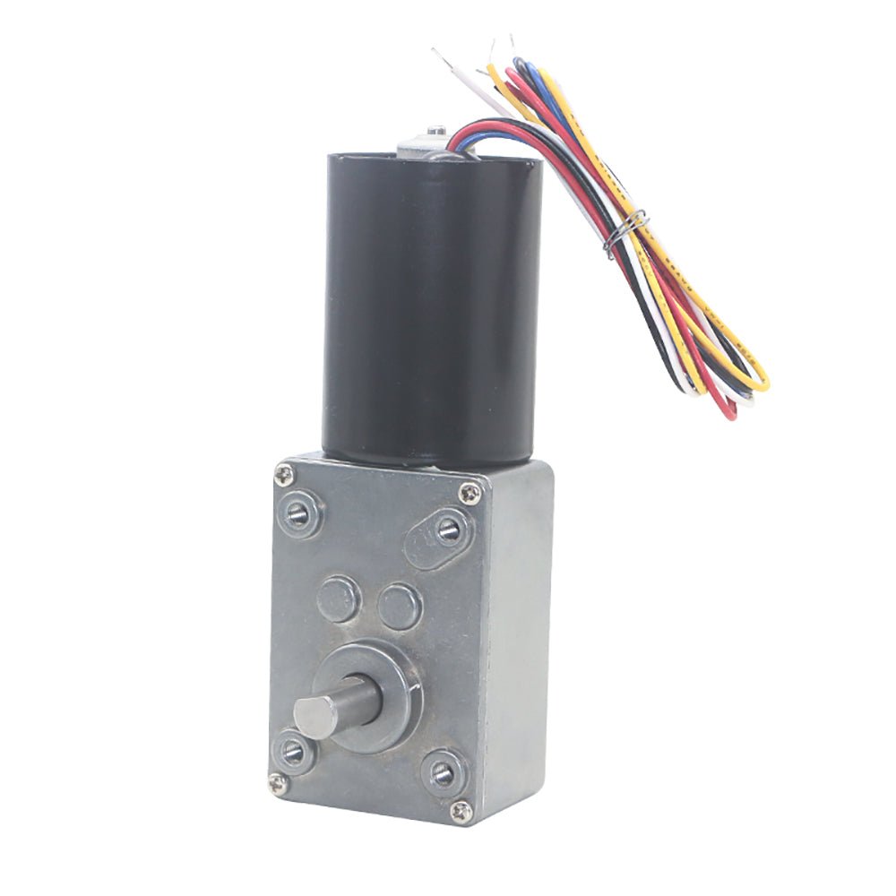 5840 - 3650 Worm Geared Motor DC12V 24V 8 - 470RPM Brushless Self - Lock Brake Motor - HomeDIYer