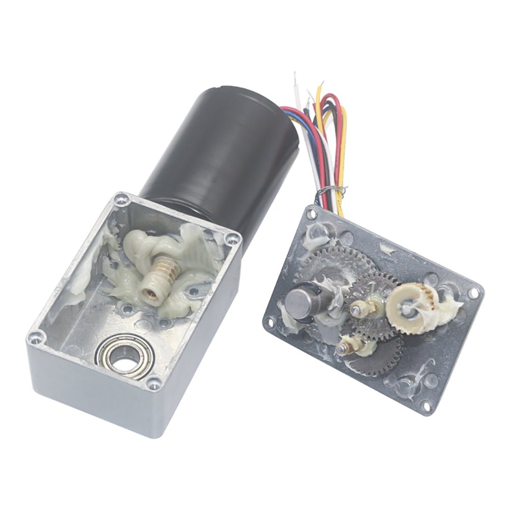 5840 - 3650 Worm Geared Motor DC12V 24V 8 - 470RPM Brushless Self - Lock Brake Motor - HomeDIYer