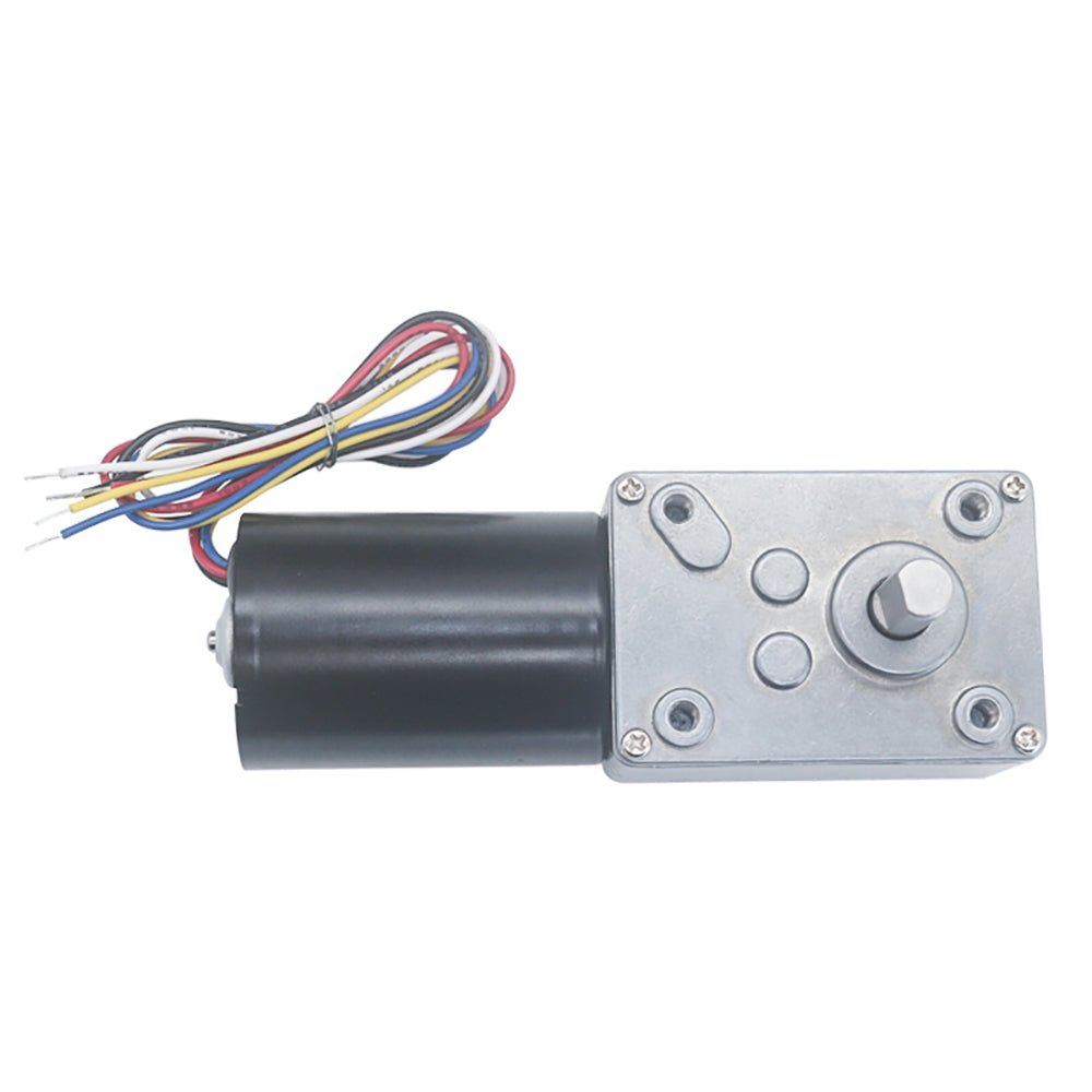 5840 - 3650 Worm Geared Motor DC12V 24V 8 - 470RPM Brushless Self - Lock Brake Motor - HomeDIYer
