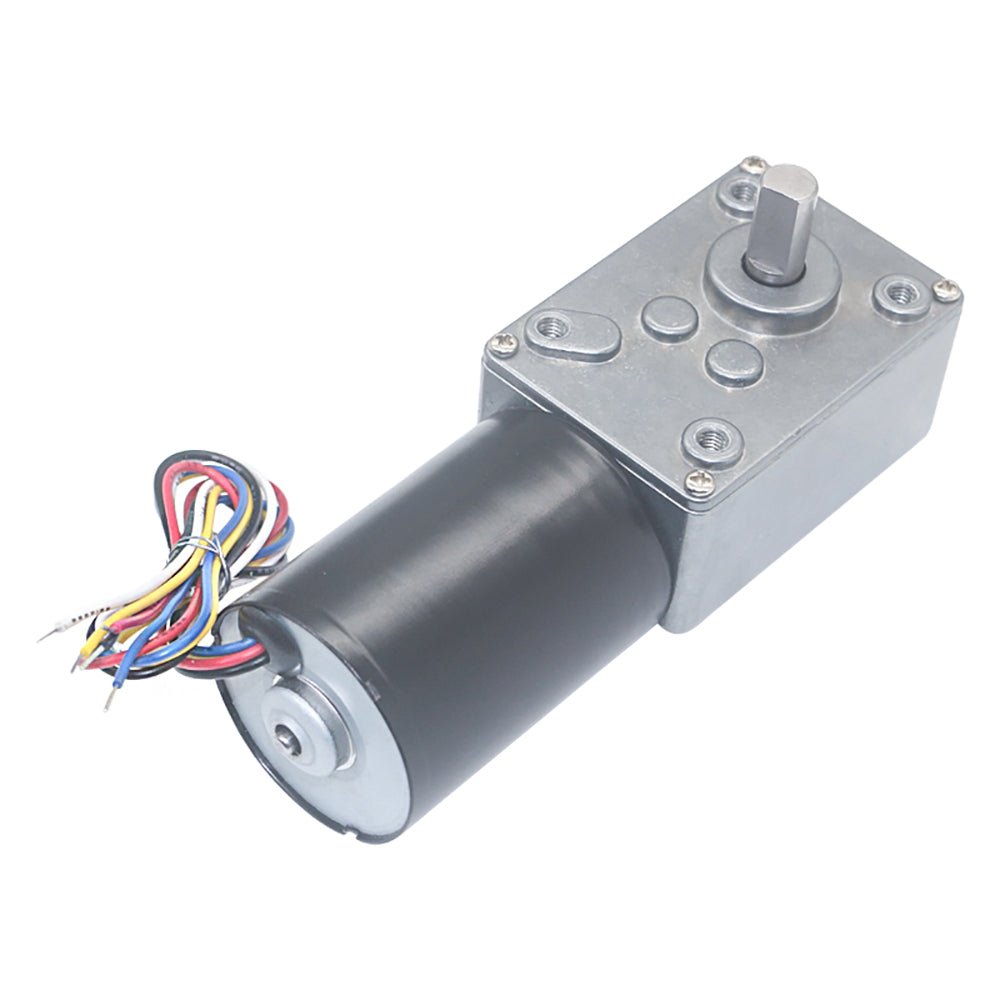 5840 - 3650 Worm Geared Motor DC12V 24V 8 - 470RPM Brushless Self - Lock Brake Motor - HomeDIYer