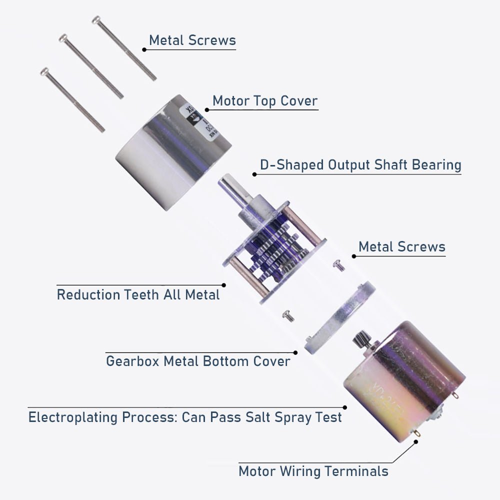 37GA520 DC 12V/24V Metal Gear Reduction Motor 5 - 600RPM Central/Eccentric Shaft - HomeDIYer