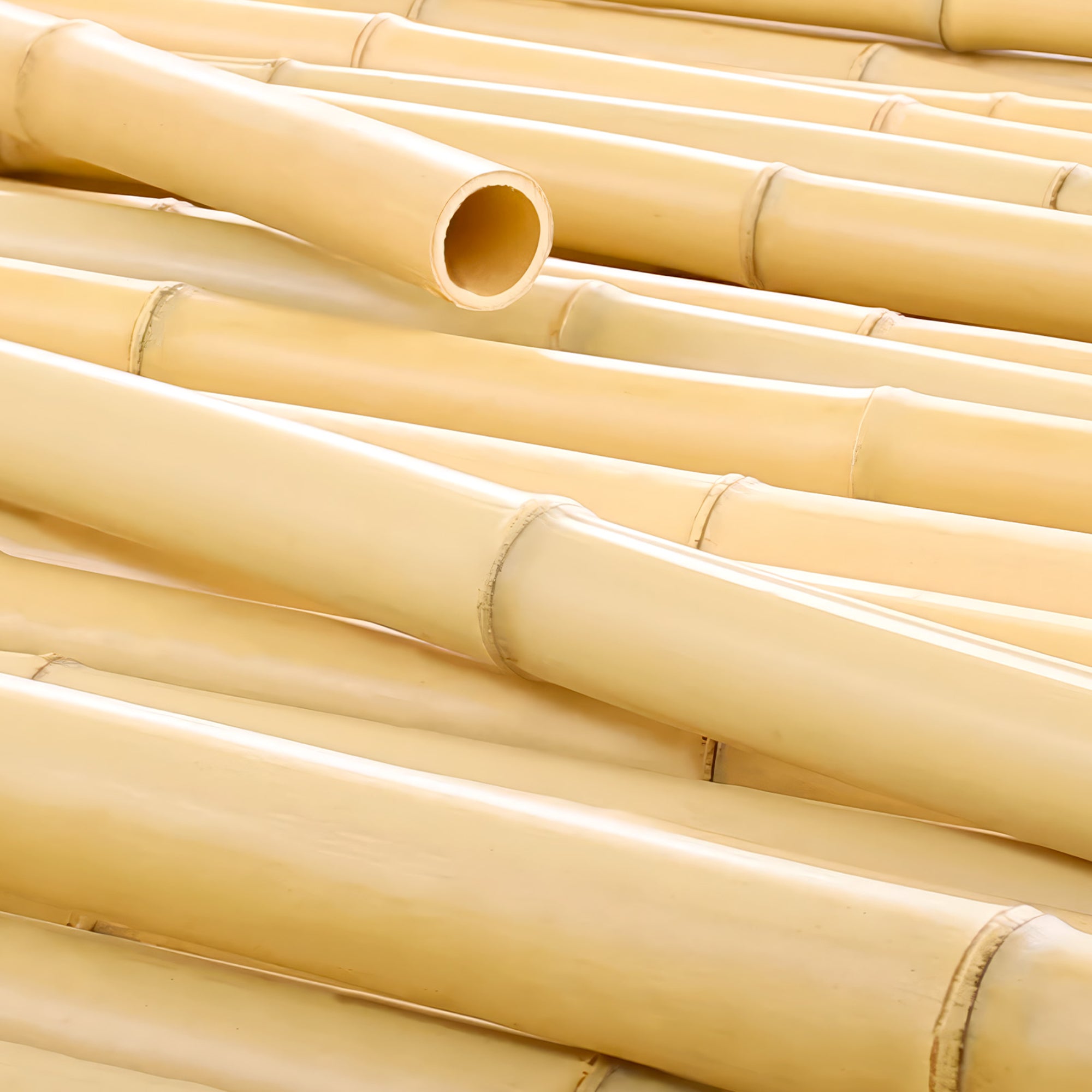 4ft H x 8ft L Natural Moso Bamboo Privacy Fence Roll — Extended Length Outdoor Screen & Garden Decor