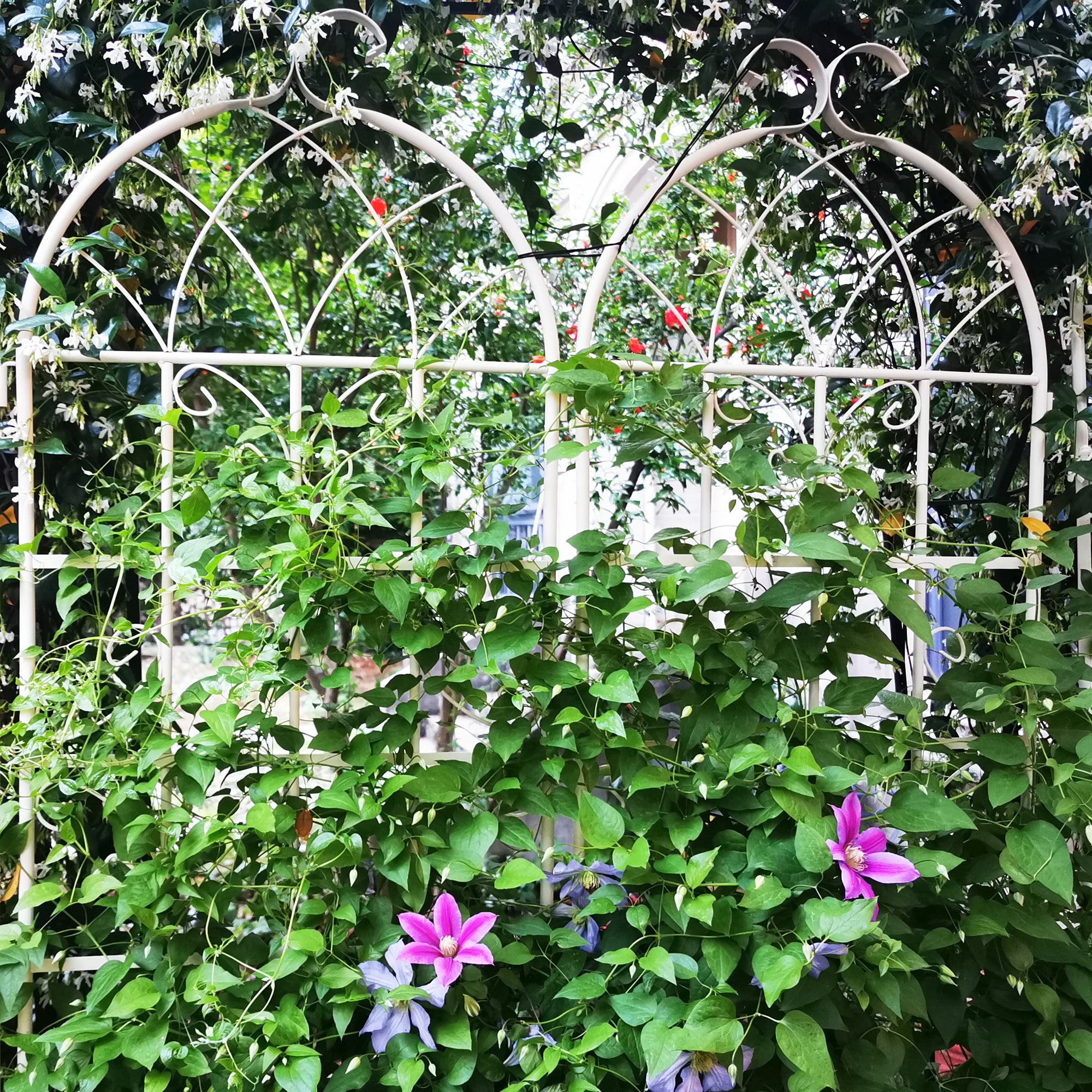 4 Pack Metal Garden Trellis 71" x 19.7" Rustproof Trellis for Climbing Plants Outdoor Flower Support Cream White