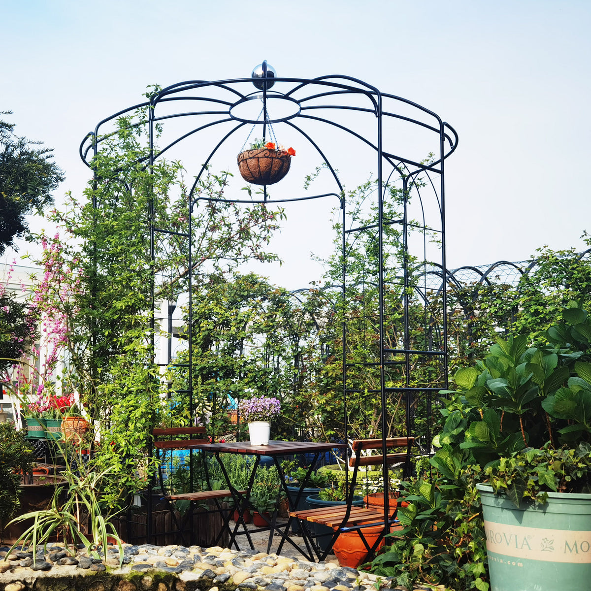 Metal Garden Arch Gazebo Birdcage Shape, Iron Arbor Dia 6.8x9.5 ft for Wedding & Garden