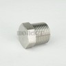 304 Stainless Steel 1/2" BSP Threaded Pipe Fittings — Nipple, Elbow, Tee, Socket & Cap