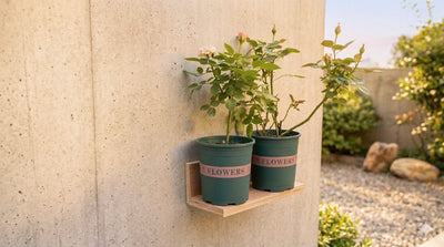 How to Mount a Wooden Plant Shelf on Concrete Walls - HomeDIYer