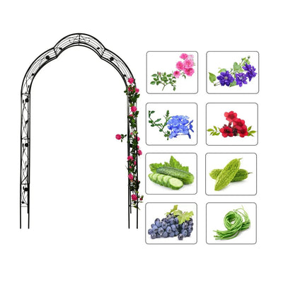 Garden supplies - HomeDIYer