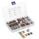 200‑Piece Clip Nut Snap Nut Assortment Set – Sheet Metal Screws &amp; Threaded U‑Nuts, M3 M4 M5