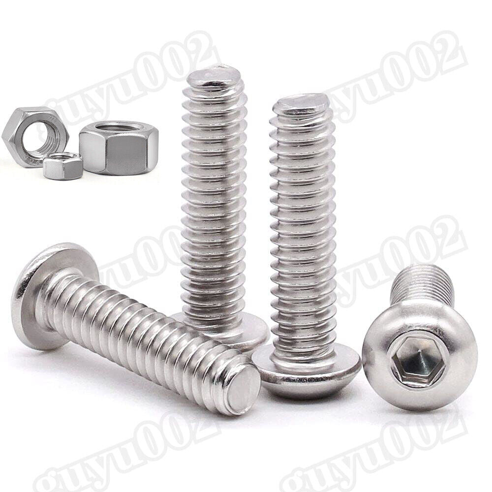 503 pcs pan head screws nuts assortment set stainless steel hexagon socket M3 M4 M5 - HomeDIYer