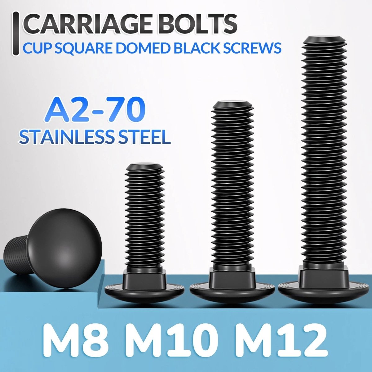 M8 M10 M12 Carriage Bolts – Cup Square Domed Head, Black A2 - 70 Stainless Steel - HomeDIYer